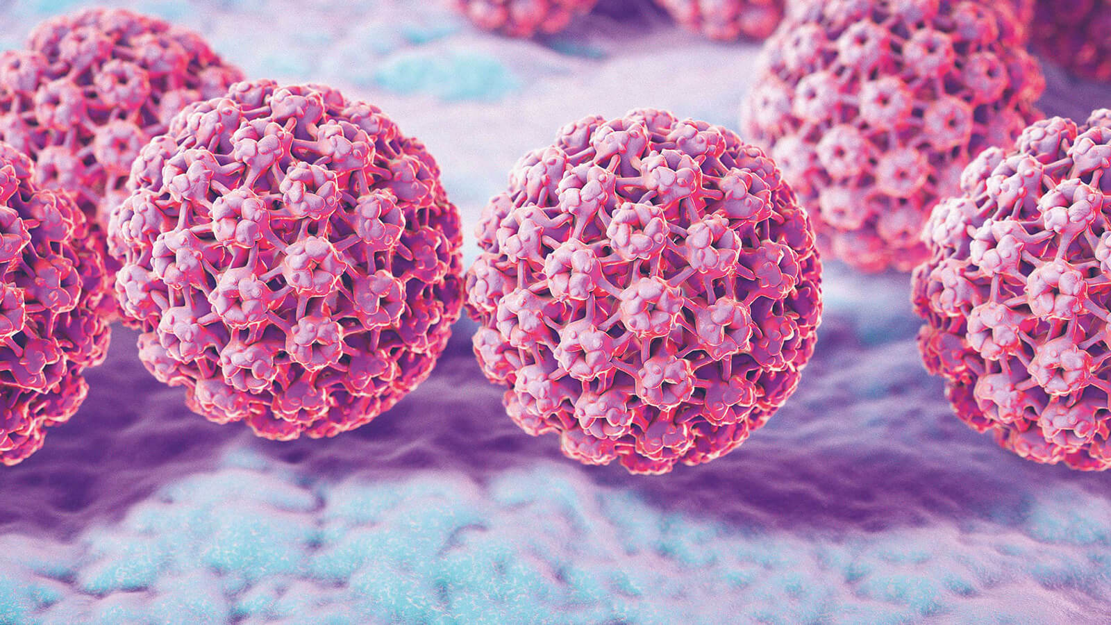 hpv volt ist das genau)